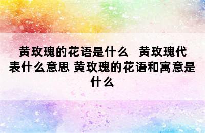 黄玫瑰的花语是什么   黄玫瑰代表什么意思 黄玫瑰的花语和寓意是什么